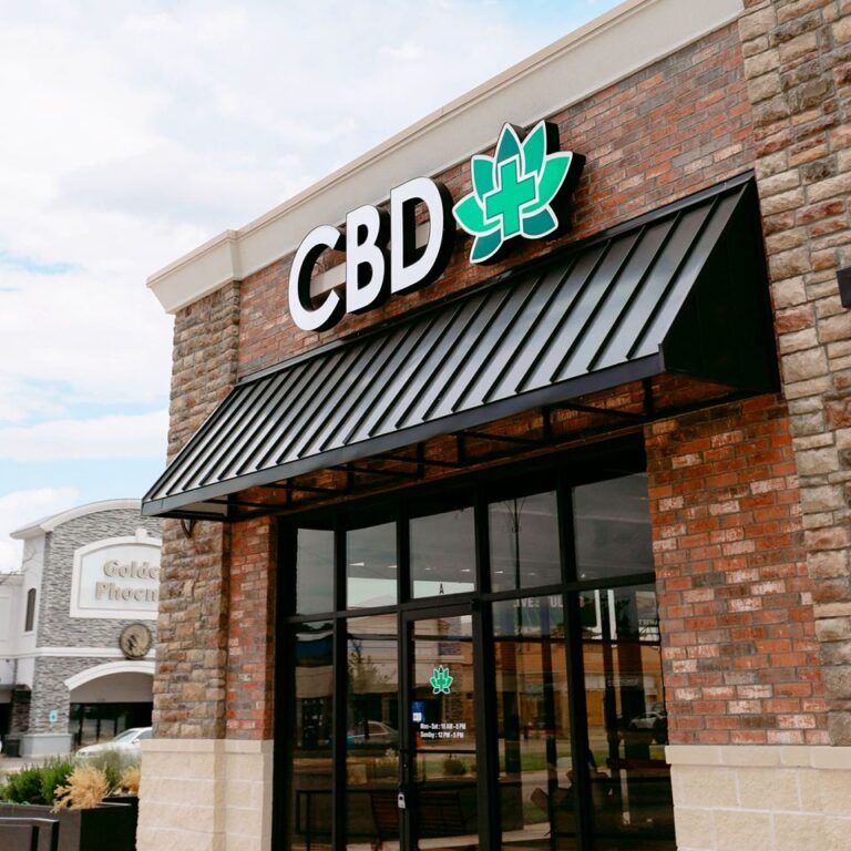 52474424_1532128666922019_3545152674263465984_o