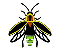 Smart Pest Control Service Inc